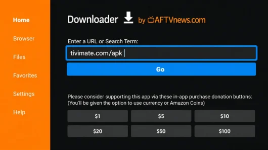 Downloader screen showing an official player address entered in the URL field